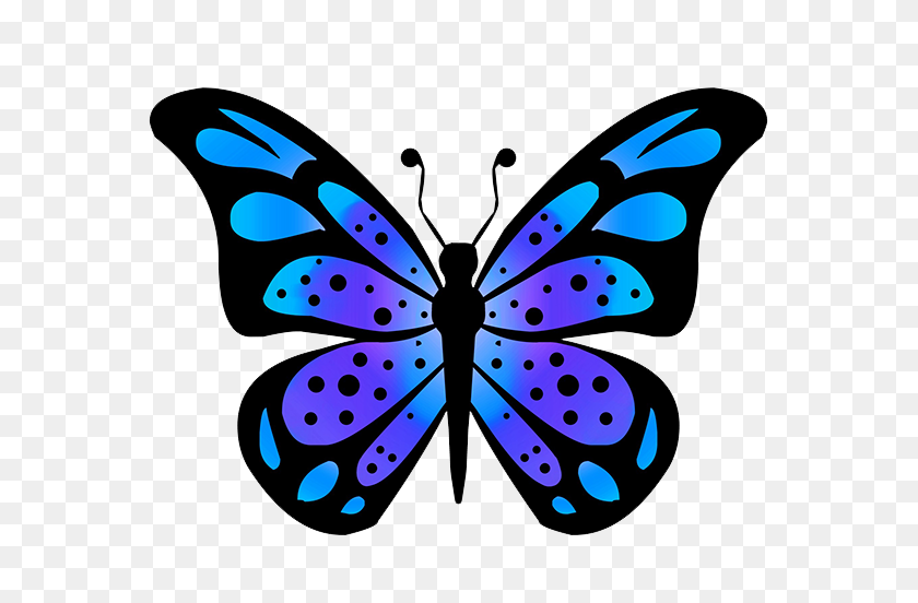 591x492 Blue Wing Of A Butterfly Drawing Butterfly - Free Butterfly Clipart