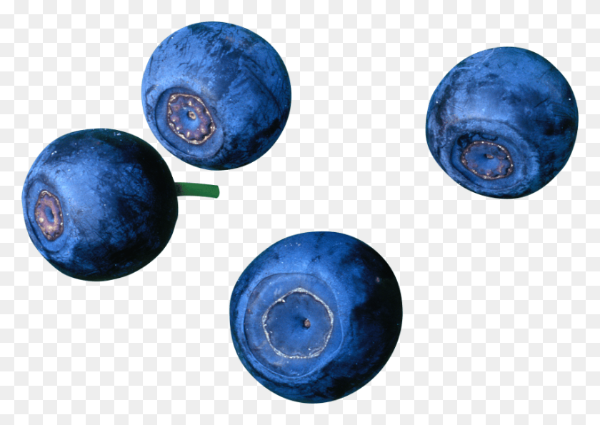 850x584 Blueberries Png - Blueberries PNG