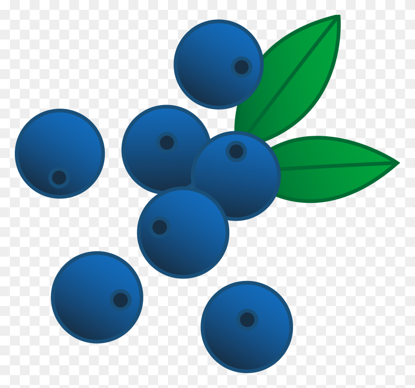 3046x2836 Blueberries Vector Illustration - Delicious Clipart