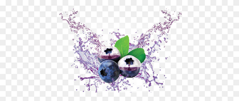 462x295 Blueberry - Blueberry PNG