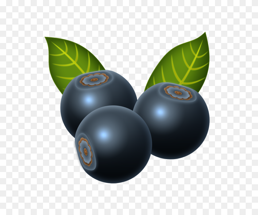 640x640 Blueberry, Beautiful, Vegetables, Fruits Png And For Free - Blueberry PNG