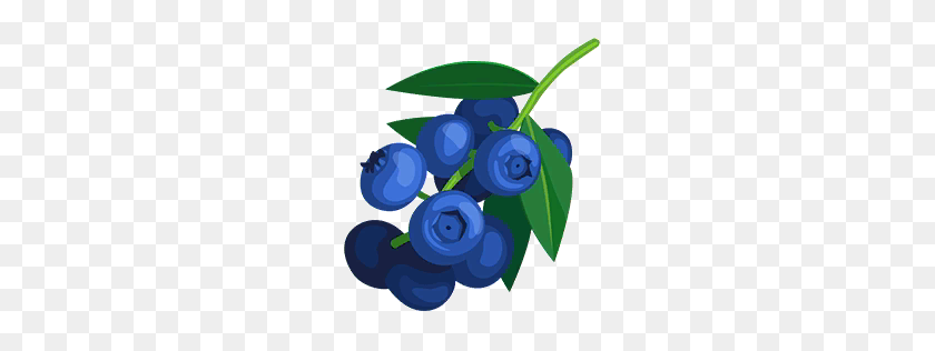 256x256 Blueberry Bush Clipart Clip Art Images - Bush Plant PNG