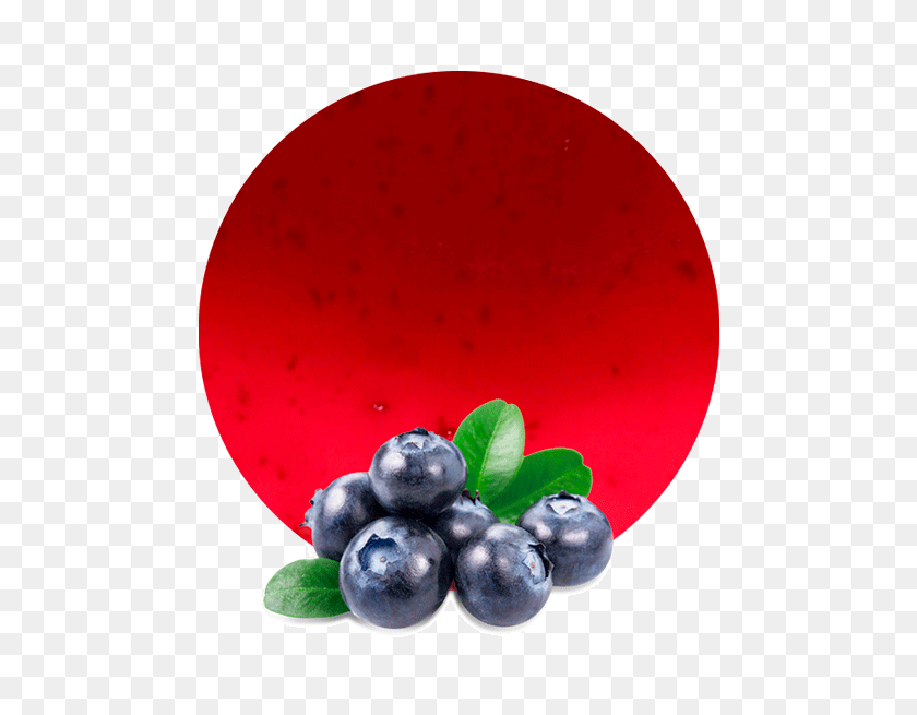 536x595 Blueberry Comminuted - Blueberries PNG