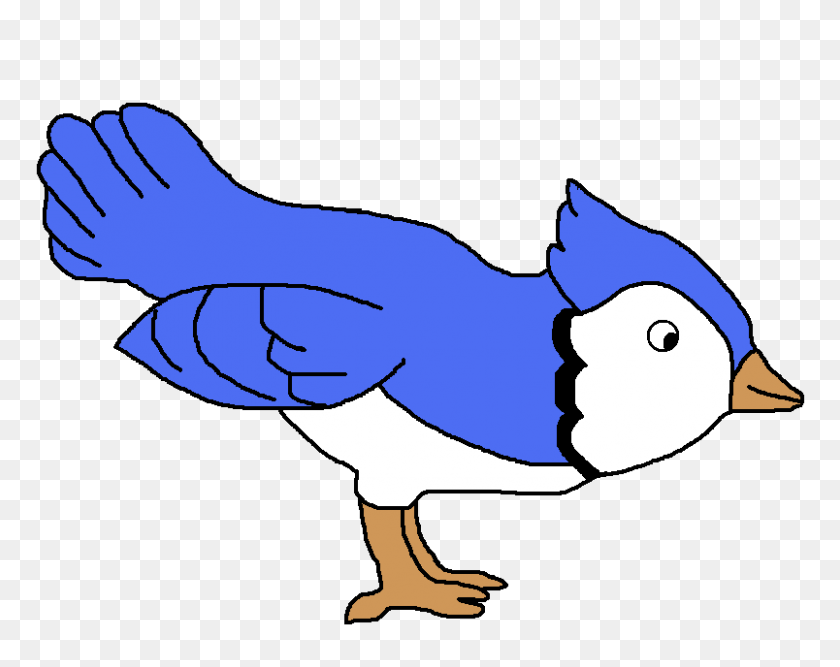 804x626 Bluebird Clipart Robin Bird - Robin Bird Clipart
