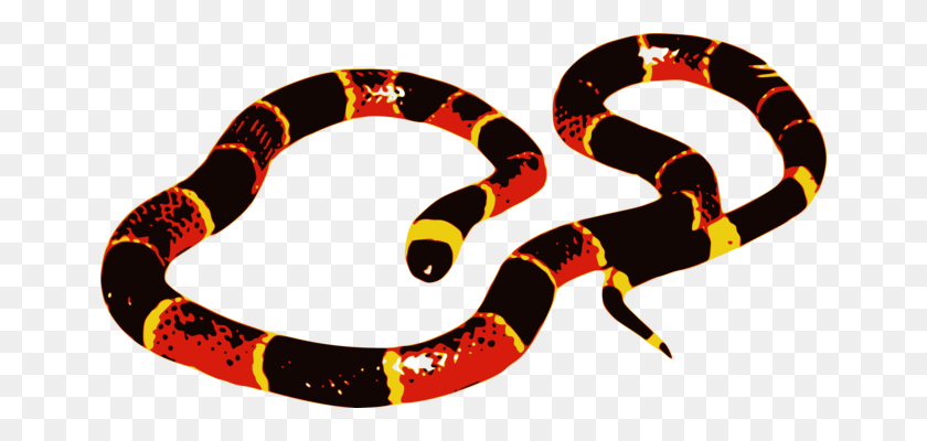 658x340 Boa Constrictor Serpientes Reptiles Tropidophis Melanurus Animal Gratis - Boa Clipart