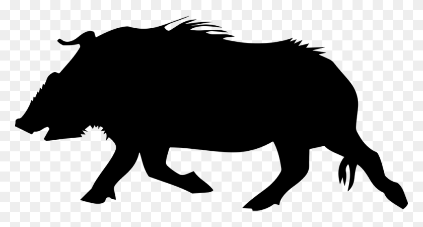 960x480 Boar Clip Art - Hog Clipart