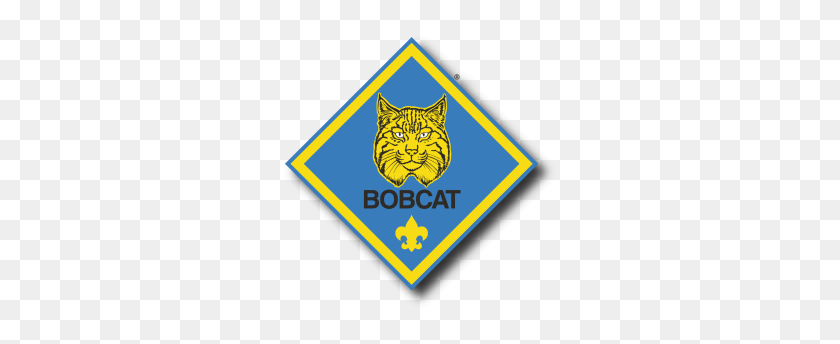 285x284 Insignia De Bobcat - Logotipo De Boy Scout Png