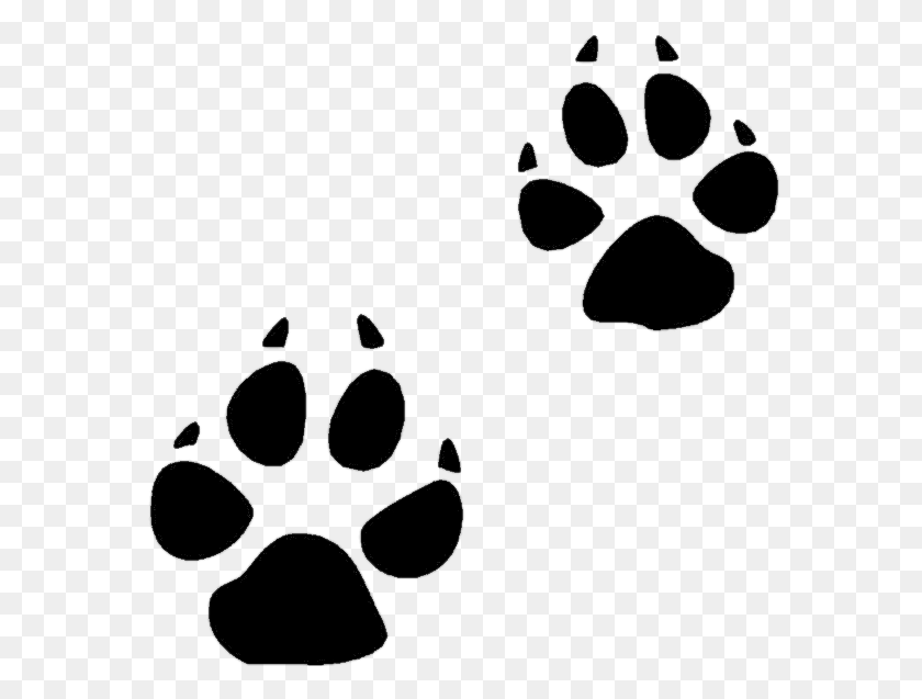 600x577 Bobcat Track Cliparts - Track Clipart Black And White