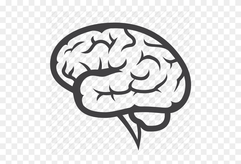 512x512 Cuerpo, Cerebro, Cabeza, Saludable, Hospital, Médico, Órgano Icono - Icono Cerebro Png