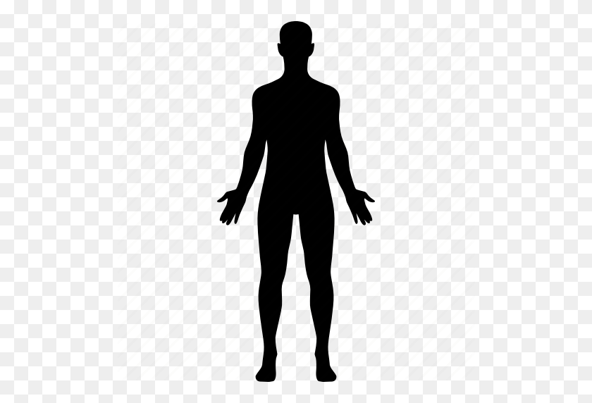 512x512 Тело, Диаграмма, Человек, Мужчина, Мужчина, Медицина, Секс Значок - Человеческое Тело Png