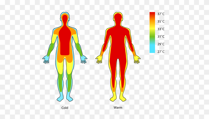 520x418 Body Temperature Clipart - Body Language Clipart