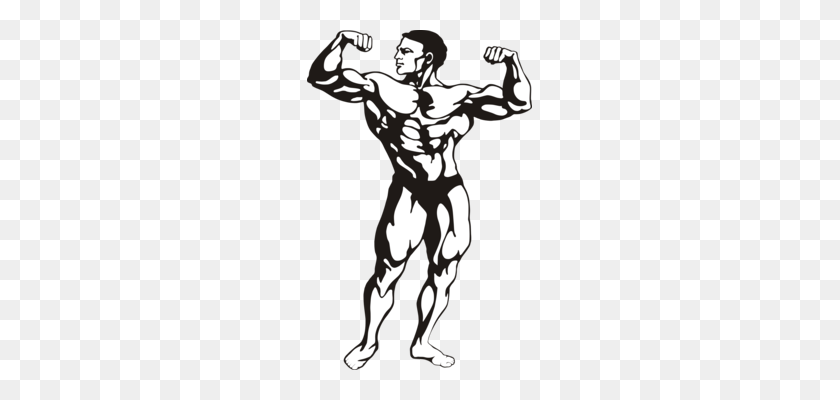 225x340 Bodybuilding Physical Fitness Fitness Centre Can Stock Photo - Fitness Clipart