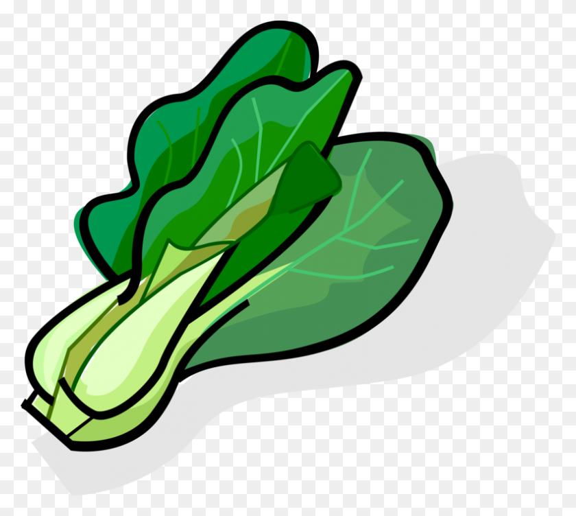 789x700 Bok Choy Cabbage - Cabbage PNG