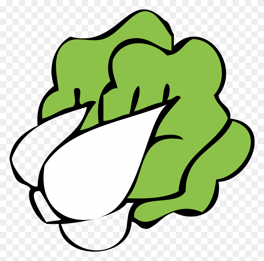 2502x2480 Bok Choy Clipart - Money In Hand Clipart