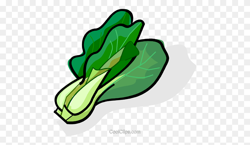 480x428 Bok Choy Royalty Free Vector Clip Art Illustration - Cabbage Clipart