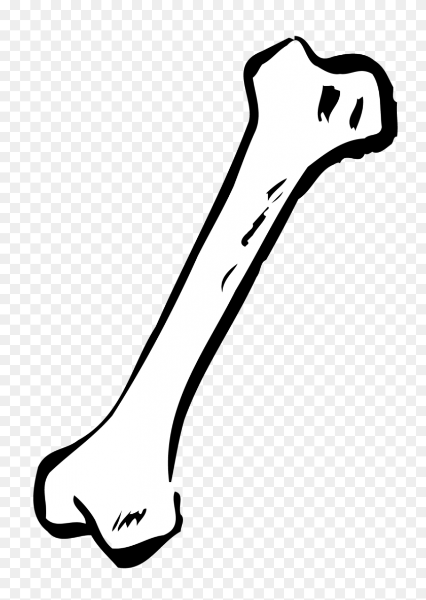 830x1195 Bone Clipart Look At Bone Clipart Clipart Images - Firefly Clipart Blanco Y Negro