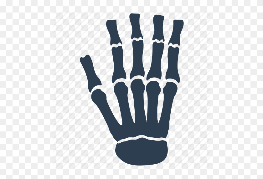 512x512 Bones, Hand, Osteology, Skeleton Icon - Skeleton Hand PNG