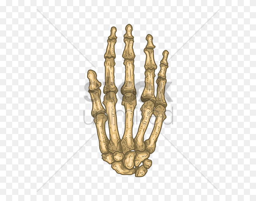 600x600 Bones Of Human Hand Vector Image - Skeleton Hand PNG
