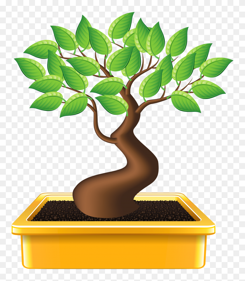 Bonsai Png Clipart Bonsai Tree Png Stunning Free Transparent Png Clipart Images Free Download