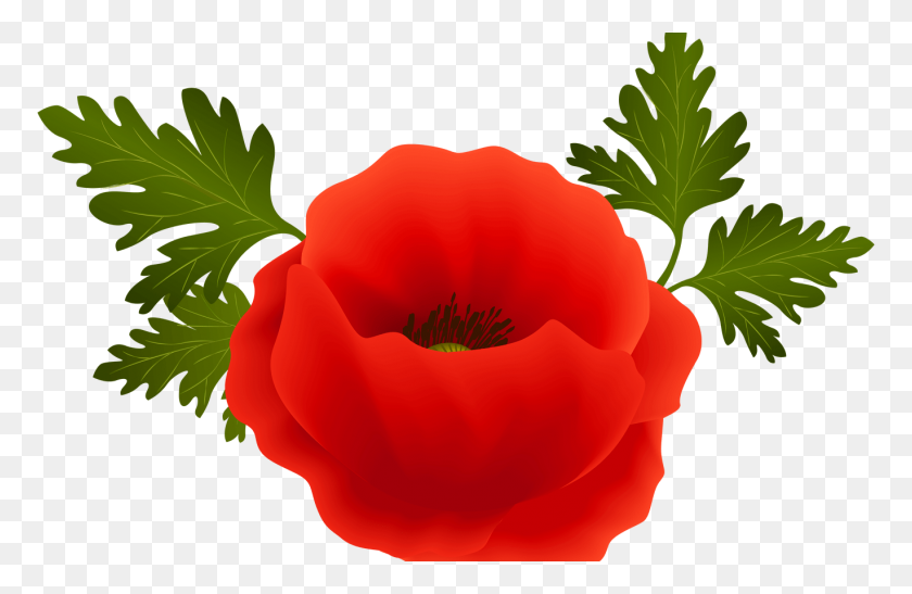 1368x855 Border Clip Art Poppy Flowers Gardening Flower And Vegetables - Honeysuckle Clipart