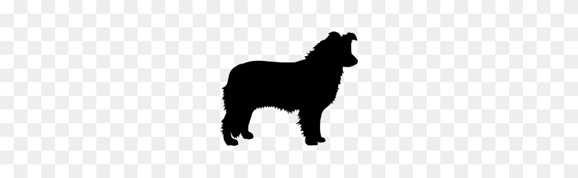 200x200 Border Collie Silhouette My Silhouettes Dog - Dog Silhouette Clip Art