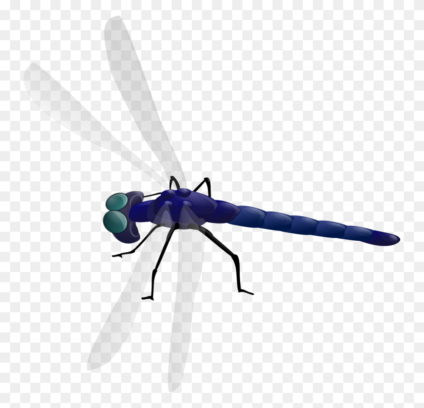747x750 Borders And Frames Dragonfly Computer Icons Drawing Insect Wing - Free Dragonfly Clipart