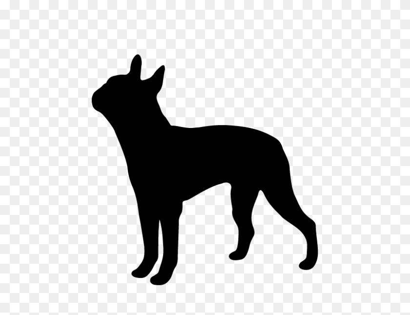 800x600 Boston Terrier Stonewall Calcomanías - Clipart Pug Gratis