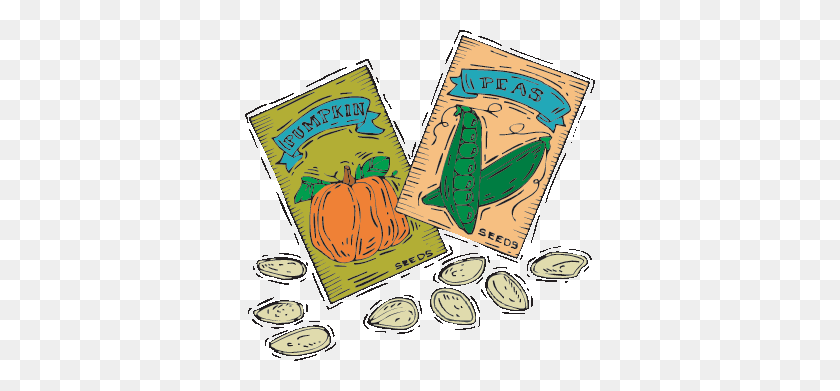 350x331 Botany Links - Seed Packets Clipart
