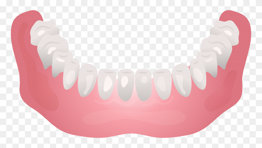 8000x4254 Bottom Human Jaw Clip Art - Dental Hygiene Clipart