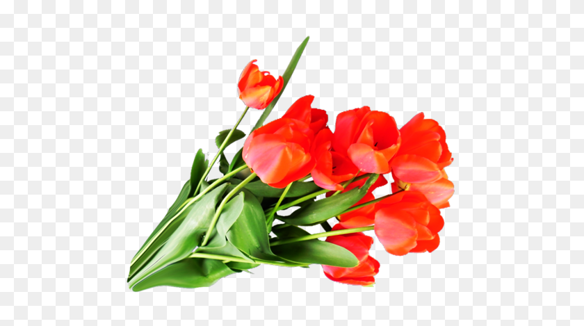 500x409 Bouquet Flowers Png - Bouquet Of Flowers PNG