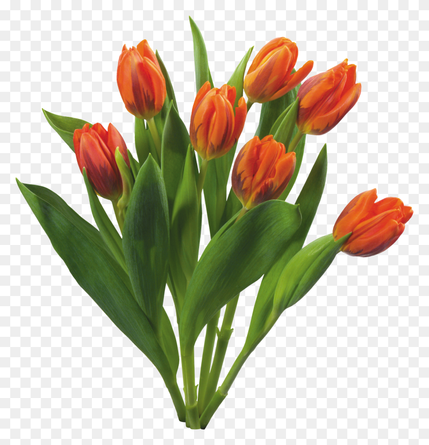 2880x3000 Bouquet Of Flowers Png Images Free Download - Flowers Transparent PNG