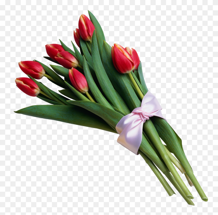 1320x1304 Bouquet Of Red Tulips Transparent Png Gallery - Flower Bouquet PNG
