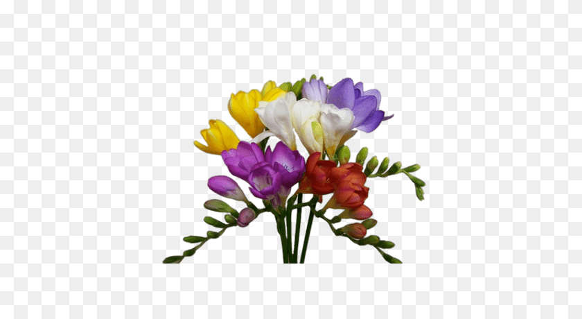 400x400 Bouquet Of Yellow Freesias Transparent Png - Bouquet PNG