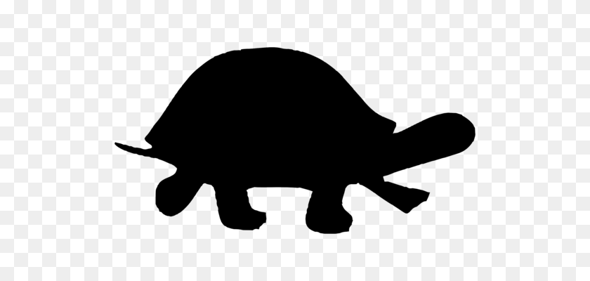 588x340 Box Turtles Reptile Pig Common Snapping Turtle - Pig Silhouette Clip Art