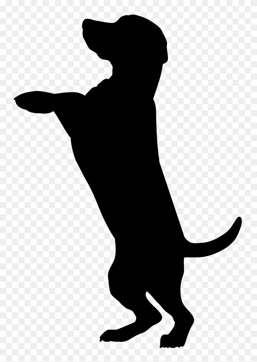 5560x8000 Boxer Dobermann Cat Pet Sitting Silhouette - Dog And Cat Silhouettes Clipart
