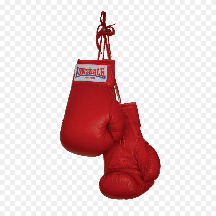 1024x1024 Boxing Gloves Duo Transparent Png - Gloves PNG
