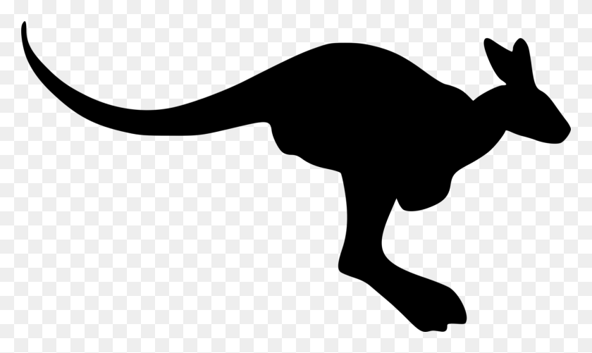 1324x750 Boxing Kangaroo Silhouette Drawing Logo - Dinosaur Clipart Silhouette
