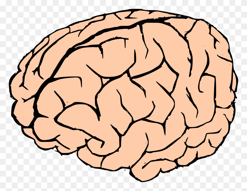 2400x1814 Библиотека Бюстгальтеров Скачать Огромную Бесплатную Загрузку Для Powerpoint - Клипарт Smart Brain