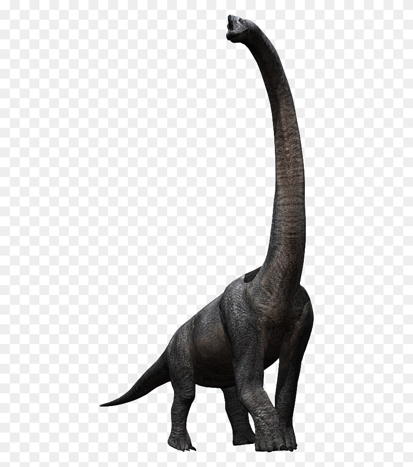 436x890 Брахиозавр Динозавров, Доисторических Млекопитающих И Других - Брахиозавр Png
