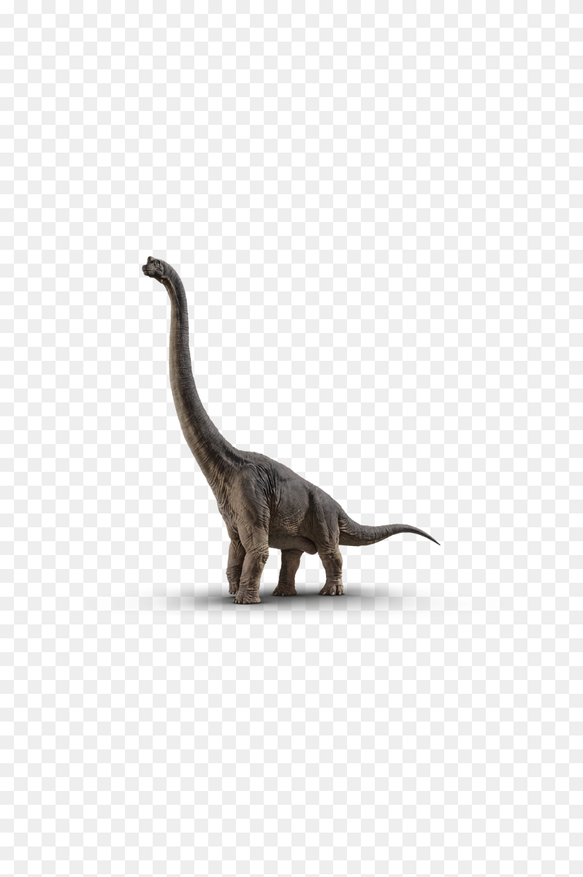 640x1204 Брахиозавр Мир Юрского Периода - Мир Юрского Периода Png