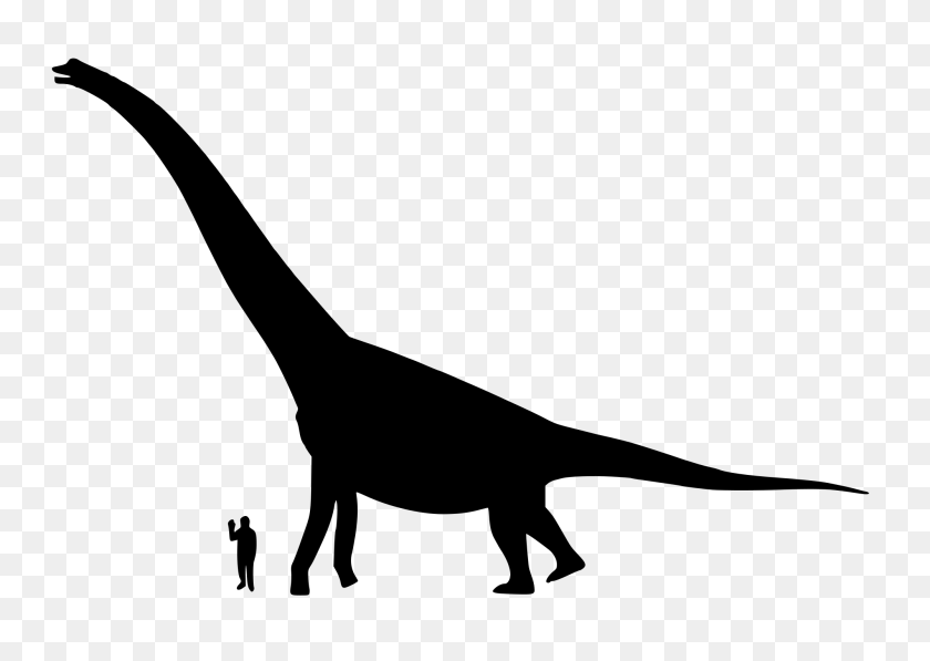 2000x1377 Размер Брахиозавра - Брахиозавр Png