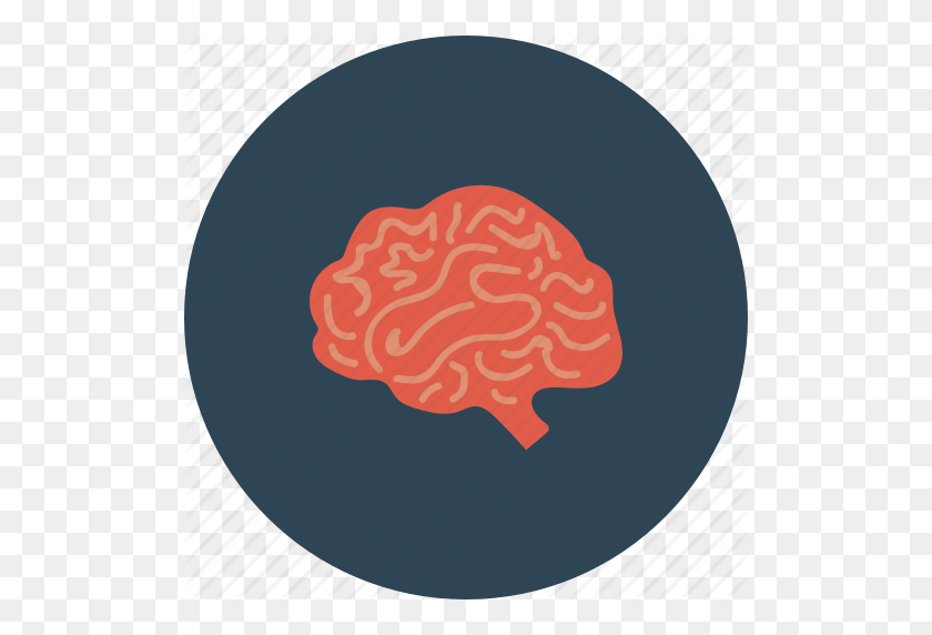 512x512 Мозг, Мрт Головного Мозга, Кт-Сканирование, Человеческие Отруби - Человеческий Мозг Png