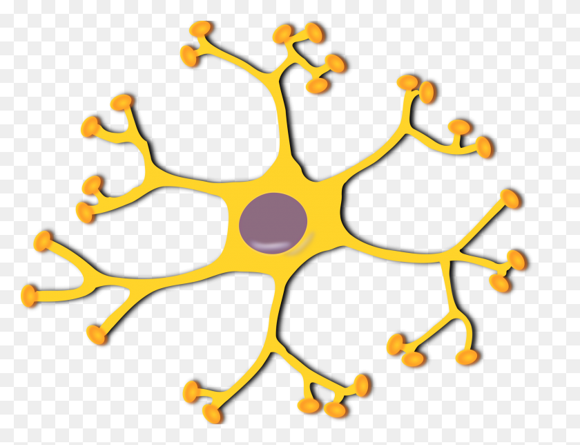 2400x1797 Brain Clipart Neuron - Brain Outline Clipart