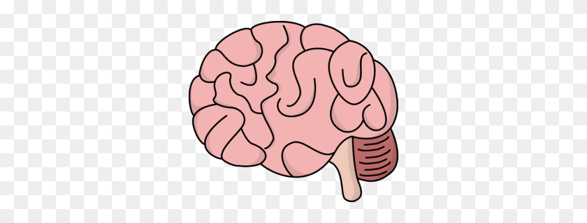 300x260 Brain Clipart Png Collection - Knowledge Brain Clipart