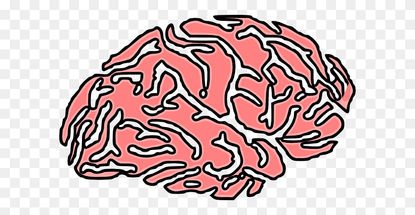 600x375 Brain Colored Clip Art - Nervous System Clipart