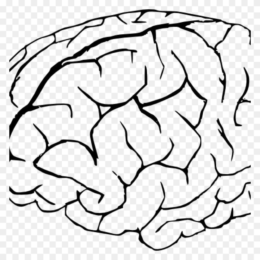 1024x1024 Cerebro Para Colorear - Cute Brain Clipart