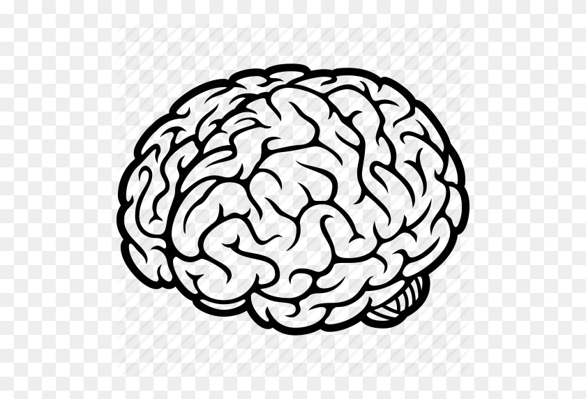 512x512 Cerebro, Órgano Humano, Idea, Memoria, Mente, Piensa, Icono De Pensamiento - Mente Png
