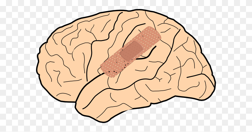 600x381 Brain Injury Clipart Head - Brain Outline Clipart