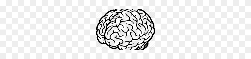200x140 Cerebro Dibujo Lineal Cerebro Dibujo Lineal Clipart - Cerebro Humano Clipart
