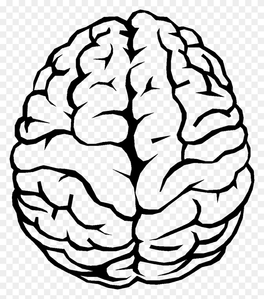 1154x1321 Brain Outline Png Image - Outline PNG